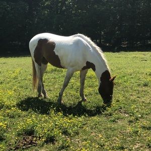 Meet your Posher, Elizabeth